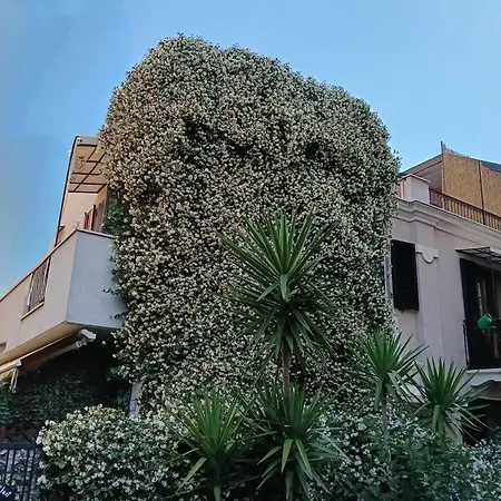 San Francesco Centro Bed and breakfast